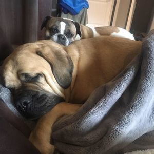 Meet your Posher, Kodi-lee